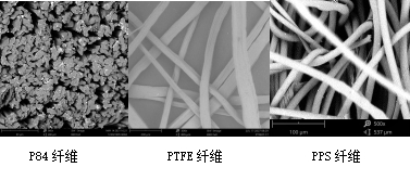 好博体育科技