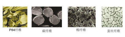 好博体育科技