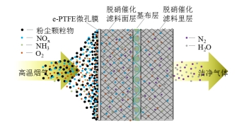 好博体育科技